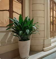 hotel-particulier-wagram-le-lieu-image-15